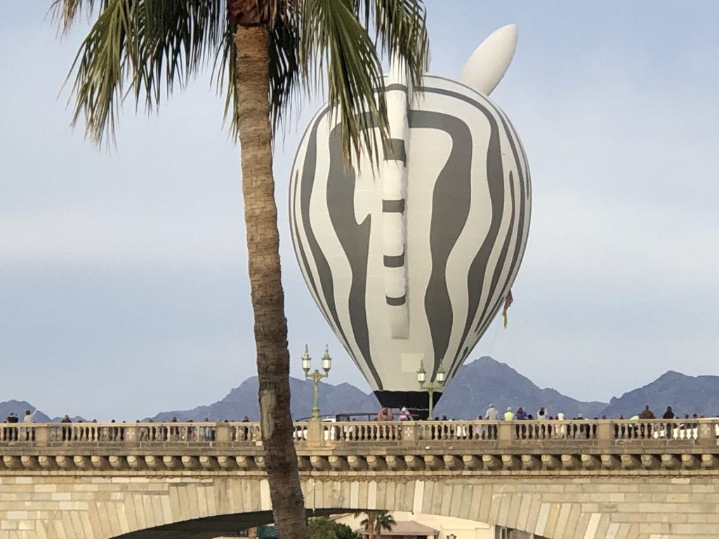 Zebra Balloon over the bridge - Cindy Grisdela